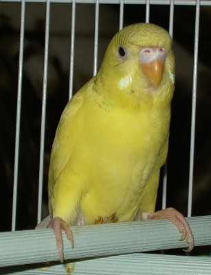 PICT4642.JPG