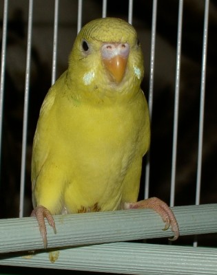 PICT4643.JPG