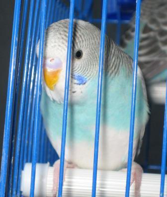 IMG_3826.jpg