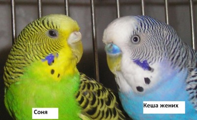 Изображениеf 044а.JPG