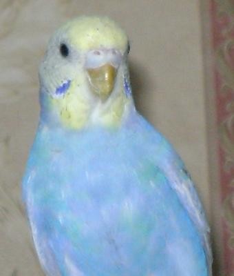 18.JPG