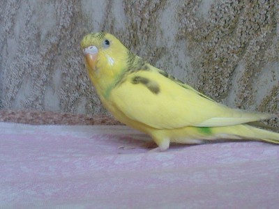SP_A0631.jpg