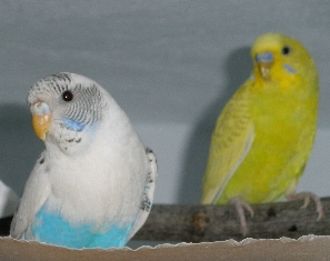 123.jpg