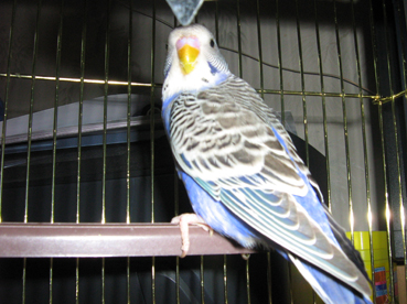 IMG_00035.jpg