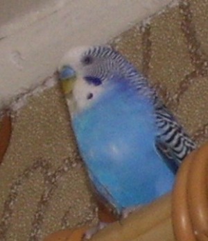 100_1582.jpg
