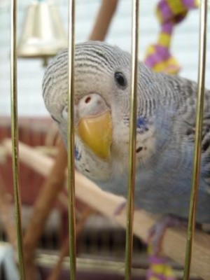 SL276729.JPGсжат.JPG