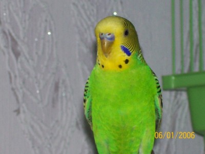 100_5819.jpg