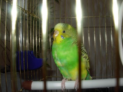 DSCN0300.JPG