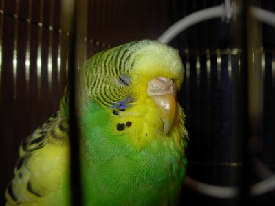 DSCN0304.JPG