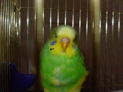 DSCN0306.JPG