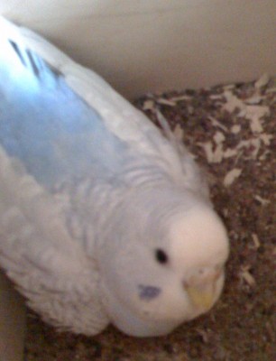 Изображение 7111.jpg