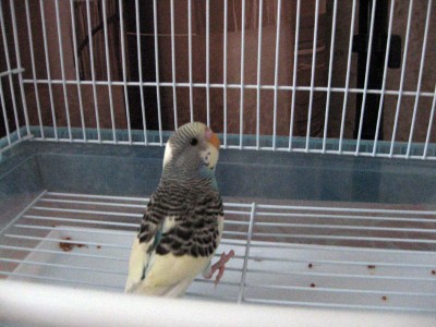IMG_1743.jpg