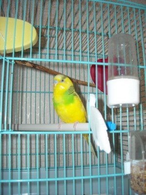 DSCN0247.jpg