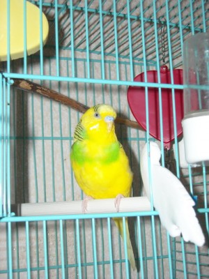 DSCN0248.jpg