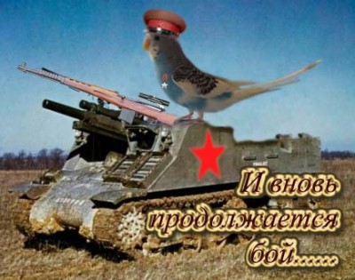 Антоха снайпер.jpg