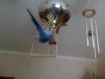 02-08-09_1147.jpg