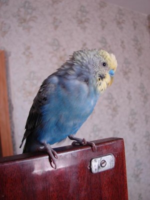 DSC00114.JPG
