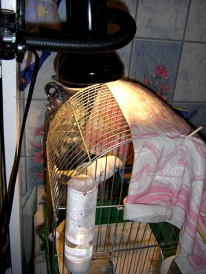 STH70221.jpg