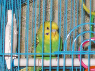 100_1578.jpg