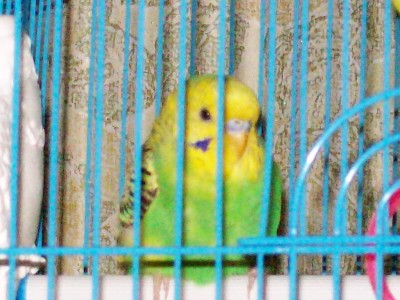 100_1579.jpg