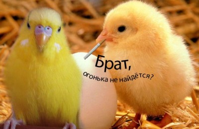 5f1668c89243 копия.jpg