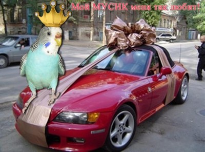 мусик.jpg