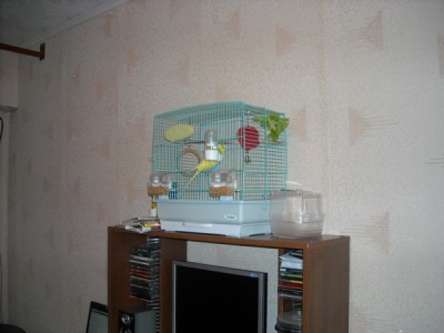 DSCN0249.jpg