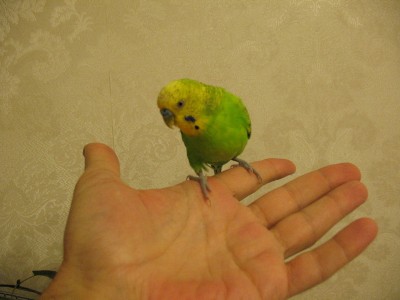 IMG_4731_новый размер.jpg