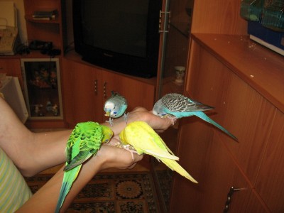 IMG_4827_новый размер.jpg