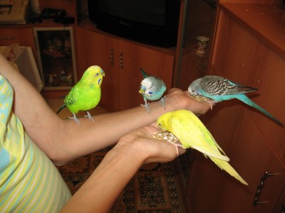 IMG_4828_новый размер.jpg