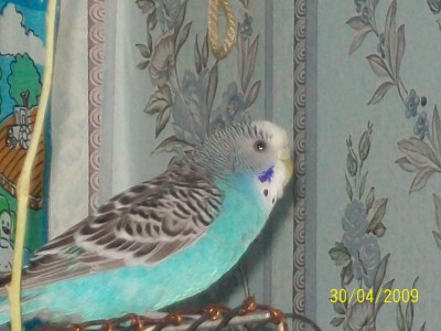 100_0236.jpg