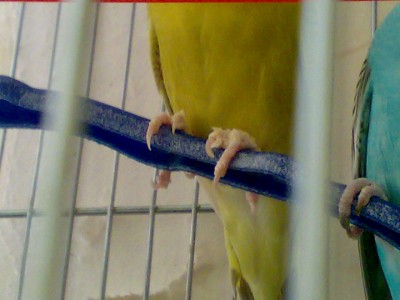 24072009097.jpg
