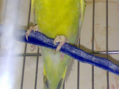 24072009095.jpg
