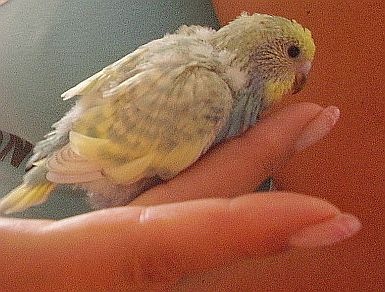 P1.jpg