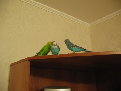 IMG_4800_новый размер.jpg