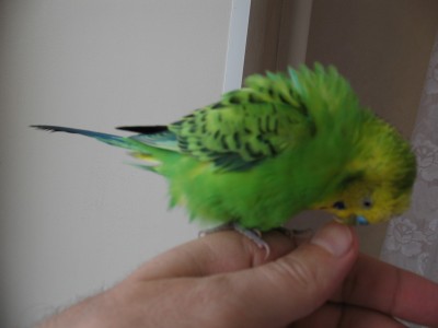 IMG_4890_новый размер.jpg