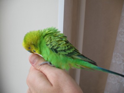 IMG_4892_новый размер.jpg