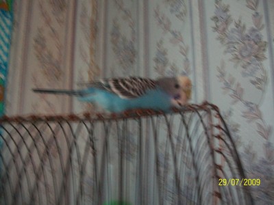 100_06977.jpg