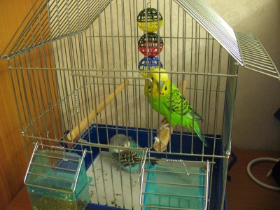 IMG_4986_новый размер.jpg
