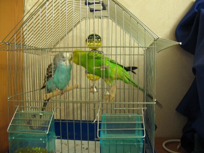 IMG_5007_новый размер.jpg
