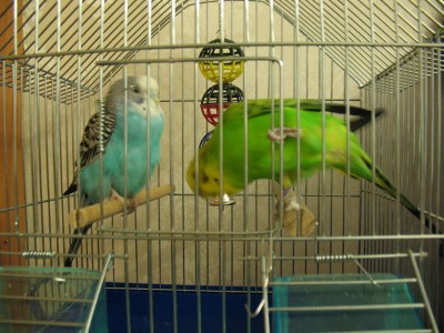 IMG_5002_новый размер.jpg