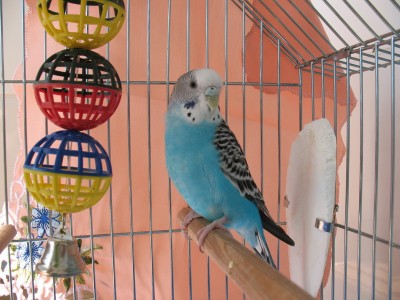 IMG_5043_новый размер.jpg