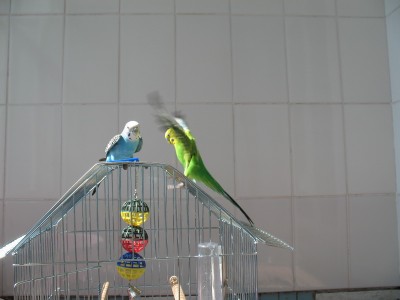 IMG_5109_новый размер.jpg