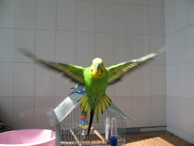 IMG_5081_новый размер.jpg