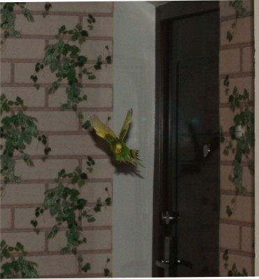 кеша4.jpg
