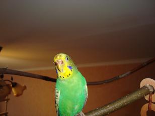 DSC02367.JPG