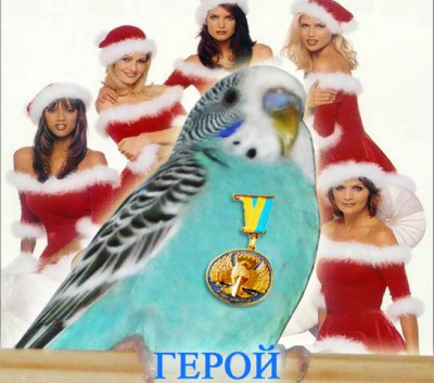 герой.jpg