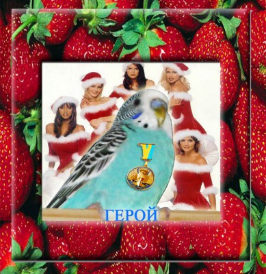 герой в рамке.jpg