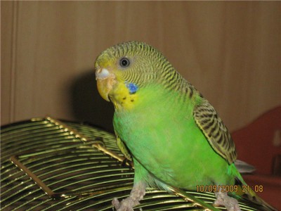 4d3a321387e1.jpg