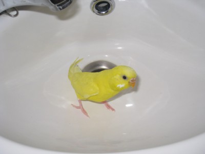 Клашенька.jpg